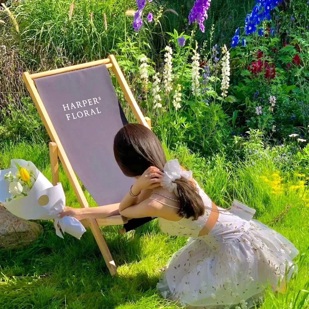 贤妻扶我青云志